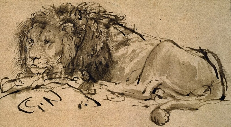 Lion by Rembrandt